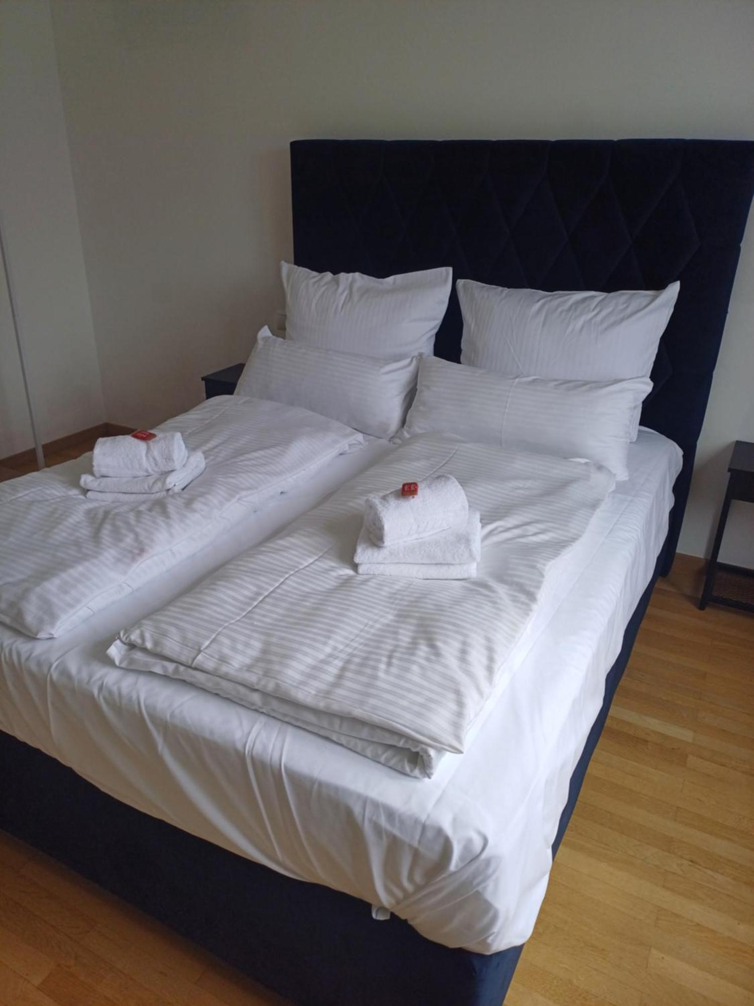 Crown Living Design Apartment - 2 Schlafzimmer - Kueche - Gratis Parkplatz - Abstellraum Fuer Fahrraeder/Ski Mader Buitenkant foto